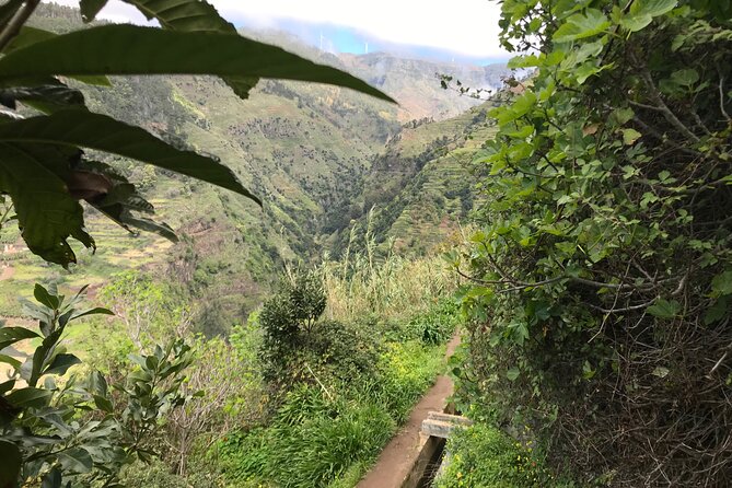 Levada do Moinho and Levada Nova - Private - What the Guide Adds in a Small Private Group