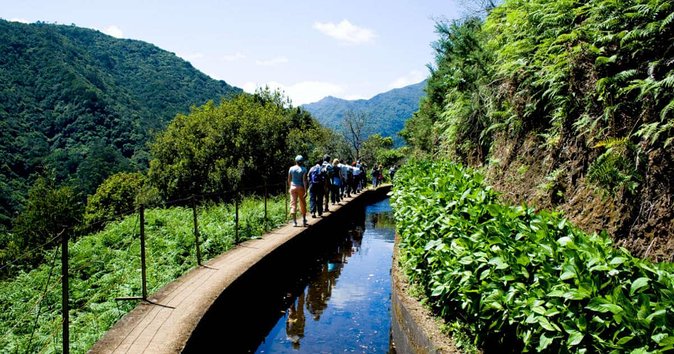Levada do Norte - Key Reasons This Levada Walk Works