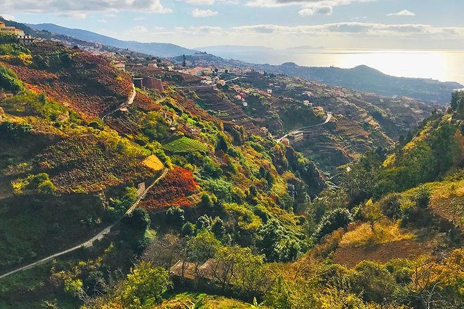 Levada do Norte - Walking Tour - Key Points That Make This Tour Worth Your Time