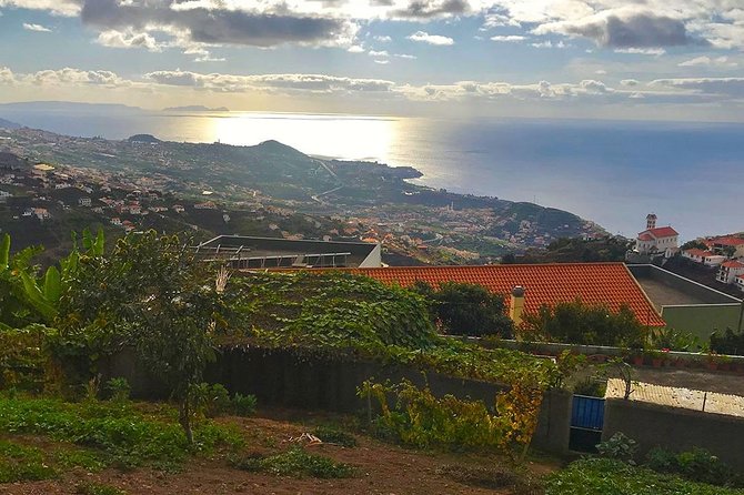 Levada do Norte - Walking Tour - Levada do Norte From Cabo Girão: The Walk’s Real Personality