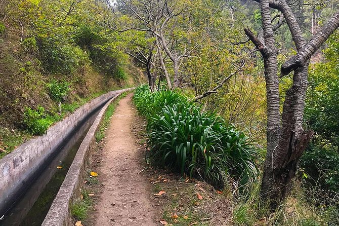 Levada do Norte - Walking Tour - Walking Levada Norte: What 6 km Feels Like on Real Paths