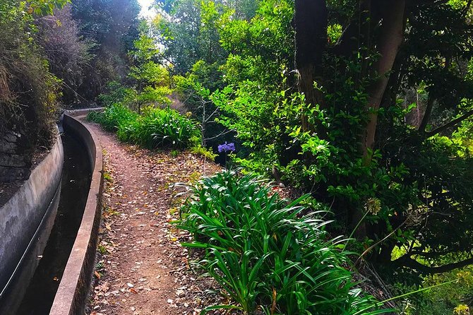 Levada do Norte - Walking Tour - Views Around Quinta Grande and Campanário: Why the Route Works