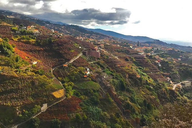 Levada do Norte - Walking Tour - Comfort and Safety: Plan for Narrow Footpaths