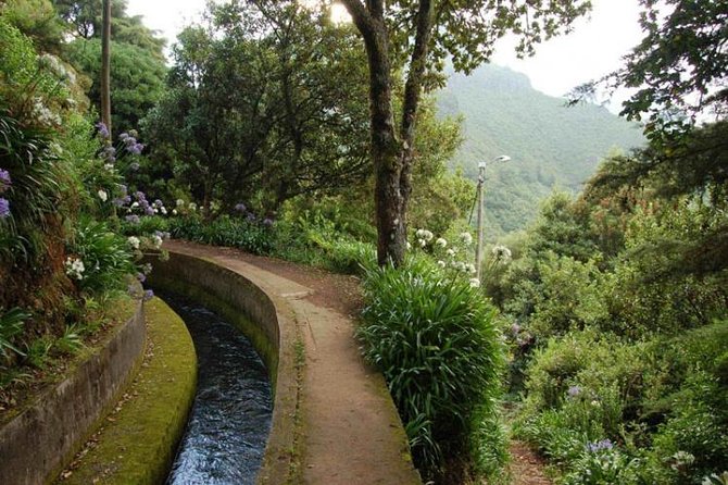Levada do Norte - Quinta Grande Valley: Green Fields, Plantations, and Local Work
