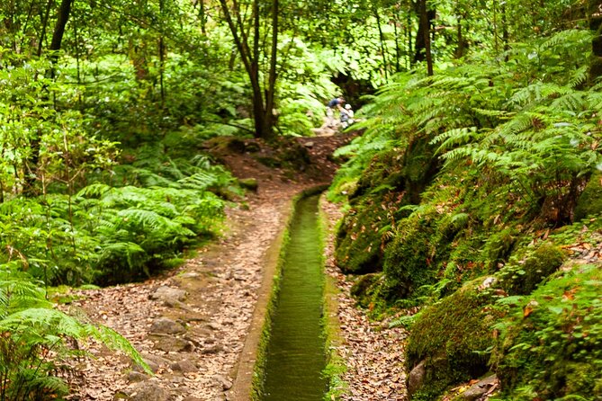 Levada do Rei PR18 Scenic Hike in Madeira with Transfer Service - The 4-hour walk, plus transfer time that can add up