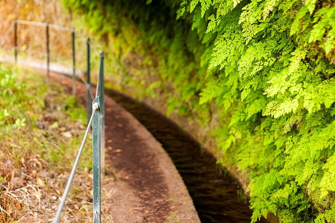 Levada do Rei PR18 Scenic Hike in Madeira with Transfer Service - Walking through Laurisilva: your pace, your photos, your pauses