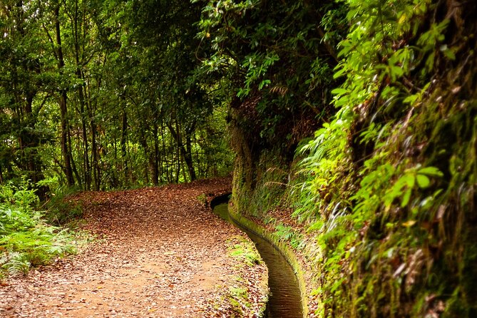 Levada do Rei PR18 Scenic Hike in Madeira with Transfer Service - Language and group size: why up to 6 feels better