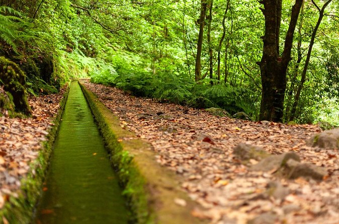 Levada do Rei PR18 Scenic Hike in Madeira with Transfer Service - Price and extra fees: is it worth €48.06?