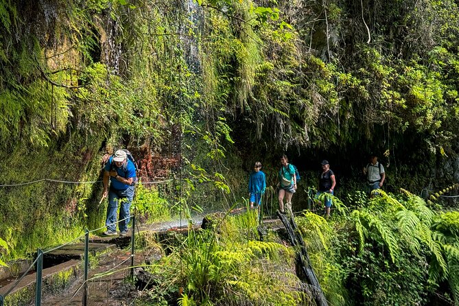 Levada do Rei (PR18) - Through Madeira's Majestic Laurissilva - Stop 1 in the UNESCO Laurissilva forest: what you’re really paying for