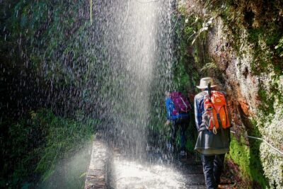 Levada do Rei (PR18) – Through Madeira’s Majestic Laurissilva