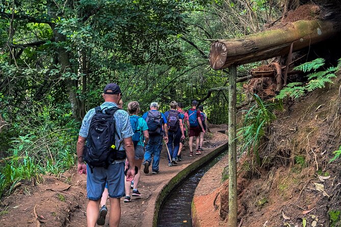 Levada do Rei (PR18) - Through Madeira's Majestic Laurissilva - Rain or shine: how weather can change the plan