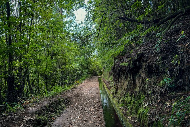 Levada do Rei (PR18) - Through Madeira's Majestic Laurissilva - Is the cafe stop part of the tour day?