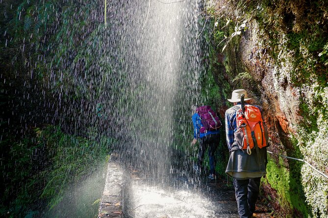 Levada do Rei (PR18) - Through Madeira's Majestic Laurissilva - Your walk time: 3.5 hours, moderate fitness, technical steps