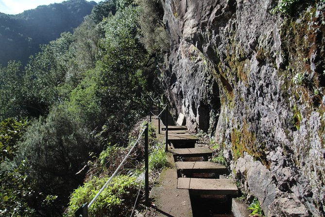 Levada do Rei - Ribeiro Bonito (Full Day Walk) - Key highlights I’d pin to your map