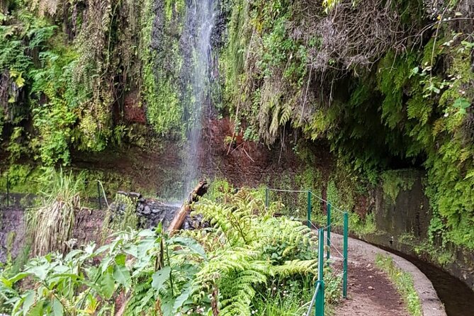 Levada do Rei - Ribeiro Bonito (Full Day Walk) - Ribeiro Bonito: the point of the walk and a good moment to reset