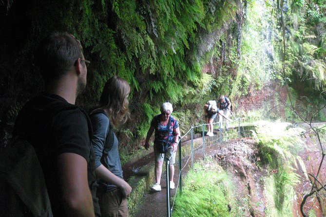 Levada do Rei - Ribeiro Bonito (Full Day Walk) - What makes the guide-led approach worth it
