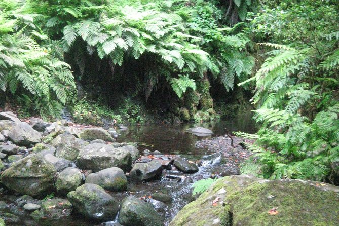 Levada do Rei - Ribeiro Bonito (Full Day Walk) - What to pack for an 8-hour levada walk (and why it matters)