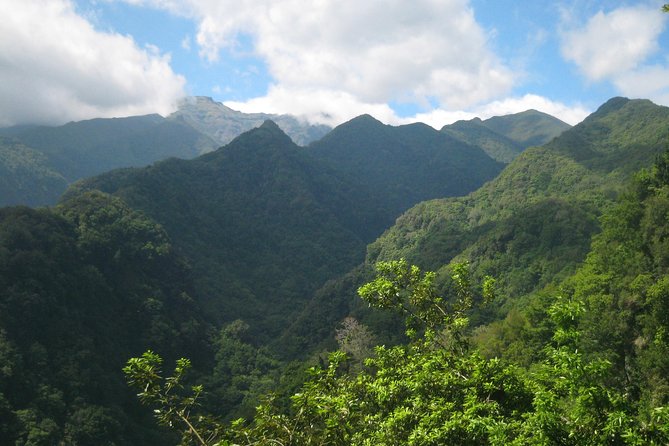 Levada do Rei - Ribeiro Bonito (Full Day Walk) - Price, value, and who this is best for