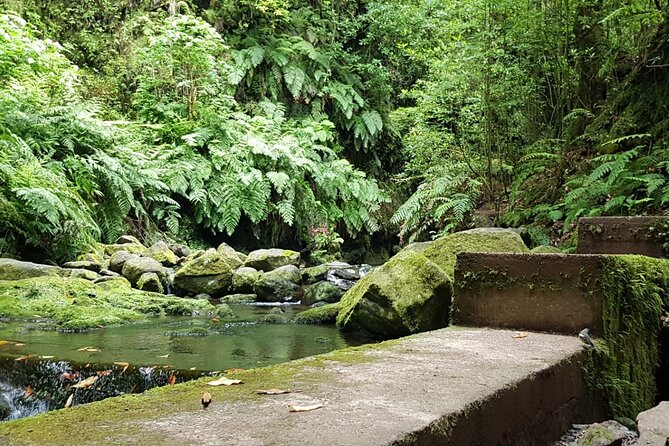 Levada do Rei - Ribeiro Bonito (Full Day Walk) - Booking timing and how far ahead to plan