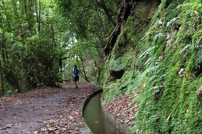 Levada do Rei - Ribeiro Bonito (Full Day Walk) - Getting to the trail, without the taxi headache