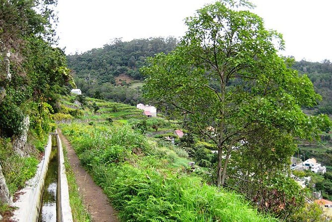Levada dos Maroços - Levada dos Maroços, a morning escape from Funchal to Machico