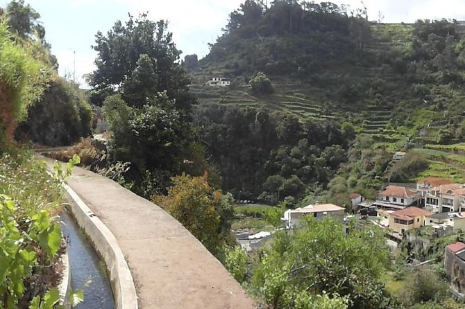 Levada dos Maroços - Agricultural terraces, plantations, and what you’ll spot on the way