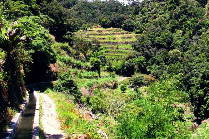 Levada dos Maroços - Should you book Levada dos Maroços?