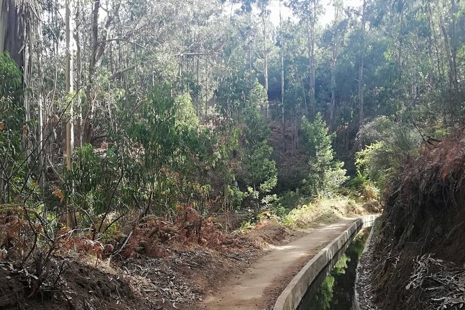 Levada Serra D´Agua - Key highlights worth planning around