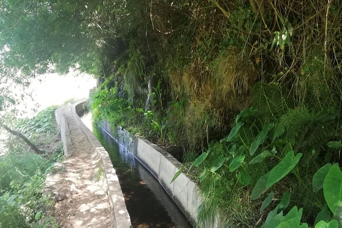 Levada Serra D´Agua - Funchal half-day levada value: why this walk makes sense