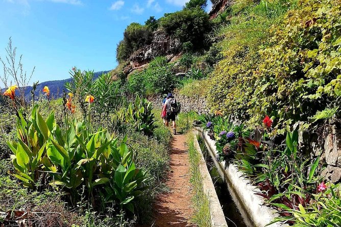 Levada Serra D´Agua - Who this tour fits best, and who might want a longer day
