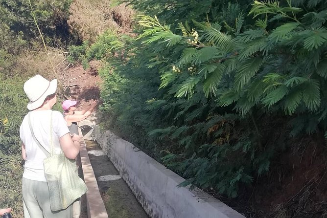 Levada Serra D´Agua - Should you book Levada Serra DAgua?