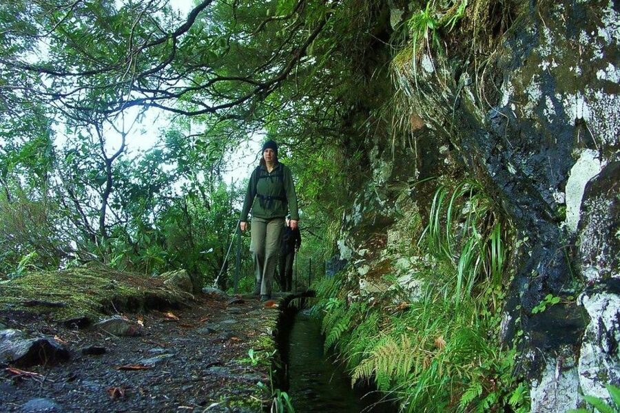 Levada Walk and Caldeirao Verde Waterfalls: Madeira - Quick hits before you lace up