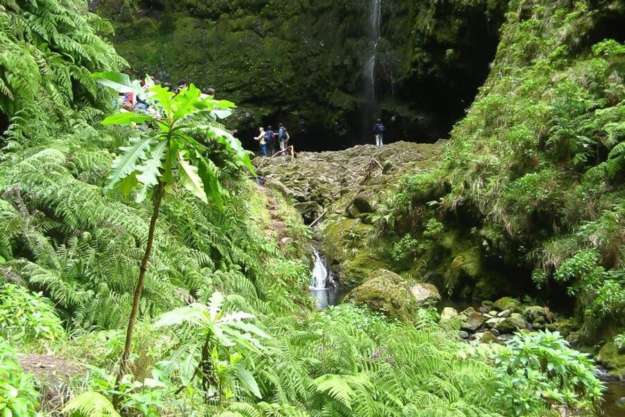 Levada Walk and Caldeirao Verde Waterfalls: Madeira - How Levada Channels Turn a Walk Into a Story