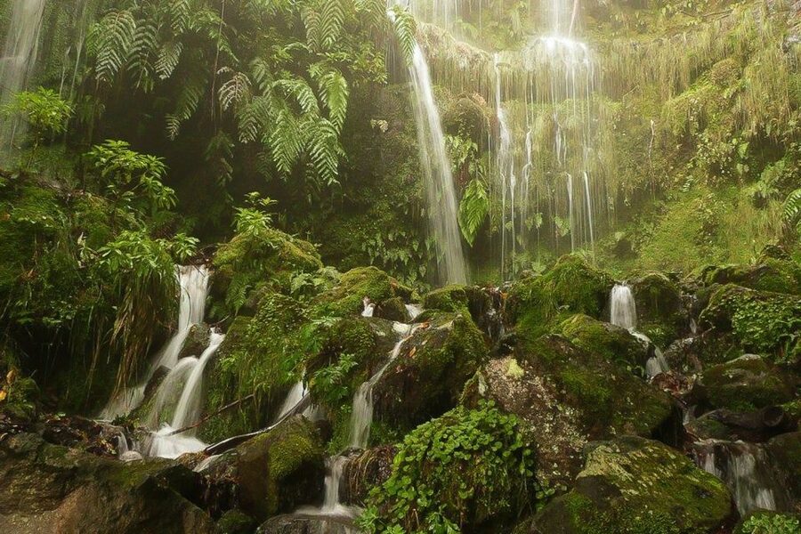 Levada Walk and Caldeirao Verde Waterfalls: Madeira - Tunnels, Narrow Paths, and Heights: Who Should Rethink This Hike