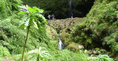 Levada Walk and Caldeirao Verde Waterfalls: Madeira