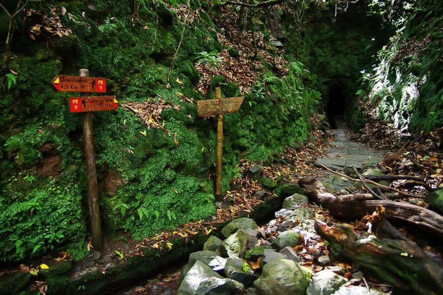 Levada Walk and Caldeirao Verde Waterfalls: Madeira - What to Bring for Comfort, Safety, and Good Photos