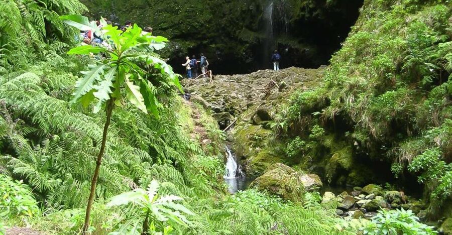 Levada Walk and Caldeirao Verde Waterfalls: Madeira - The 4.5-Hour Walk: Pace, Stops, and Real Trail Conditions