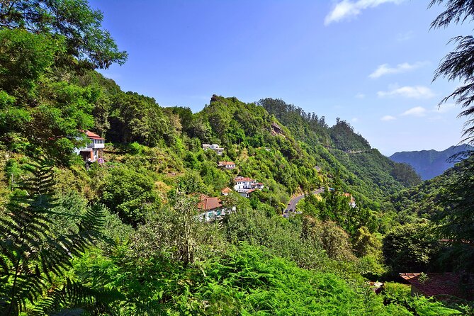 Levada Walk from Ribeiro Frio to Portela - Following the levada: light and shade, trout in the water, and an easy rhythm
