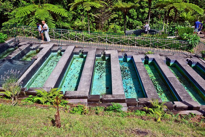 Levada Walk from Ribeiro Frio to Portela - The picnic rule: how to pack for an 8-hour hike with no food stops