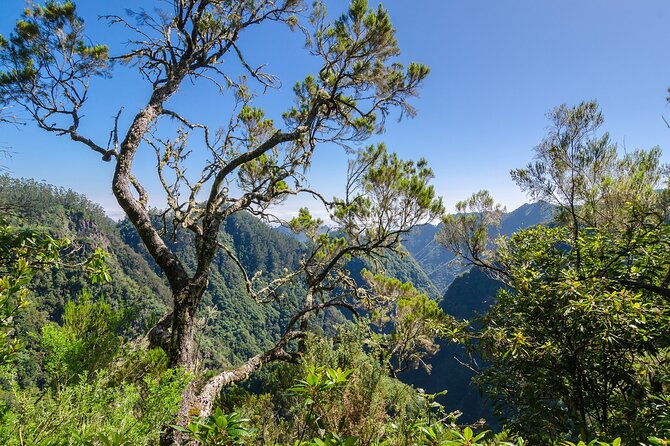 Levada Walk from Ribeiro Frio to Portela - How hard is it, really? Moderate fitness, long hours, and changing weather