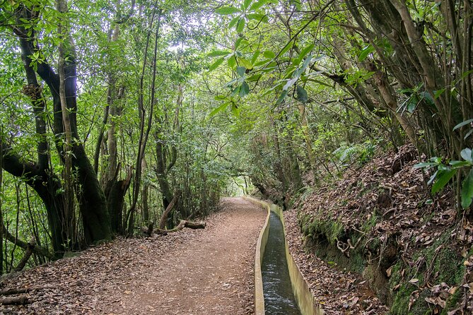 Levada Walk from Ribeiro Frio to Portela - Getting picked up in Funchal: when to be ready and what to wear