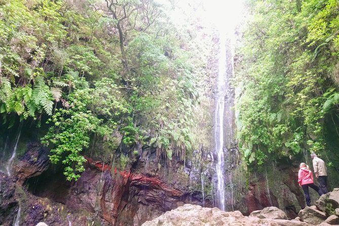 Levada & Waterfalls Hike 25 Fountains, Rabaçal, Risco more Challenging Walk - Pace, Steps, and Fitness: How “Moderate” Plays Out on the Ground