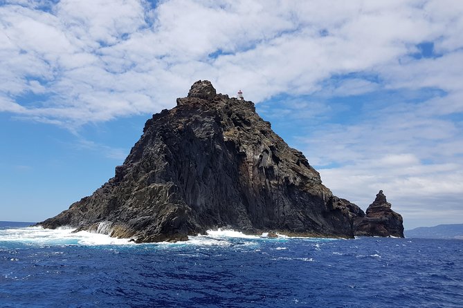 Lighthouse View 2 - Boat Tour Ponta São Lourenço - The protected North Coast: birds, endemic plants, and one rare seal