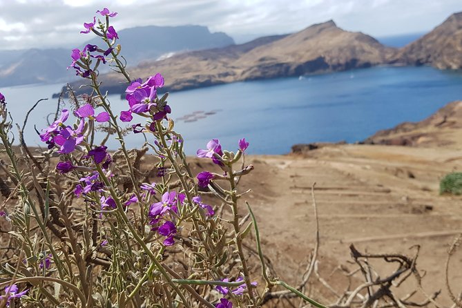Lighthouse View 3 (Cais do Sardinha, Lighthouse and return to Cais do Sardinha) - Cafetaria Sardine House snacks, a quick break that keeps the trip enjoyable