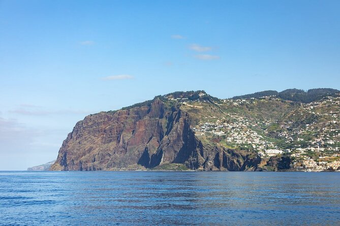 Living Sea Boat Trip in Madeira from Funchal - A 4-hour Madeira boat cruise that feels calm, not rushed