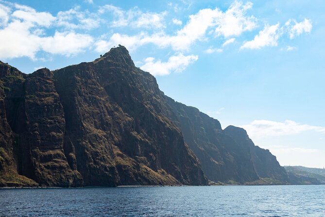 Living Sea Boat Trip in Madeira from Funchal - Price and value: is $63.72 per person a fair deal?