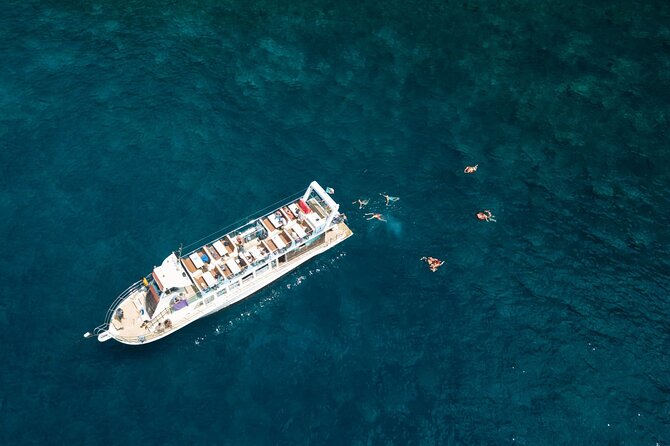 Living Sea Boat Trip in Madeira from Funchal - Who should book this Madeira boat trip, and who should think twice