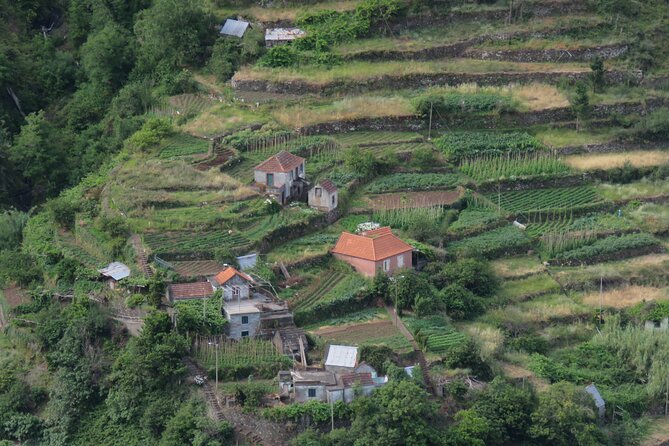 Local Farmers Market and 4WD Experience from Funchal - Price and value: what $60.15 buys you on Madeira roads
