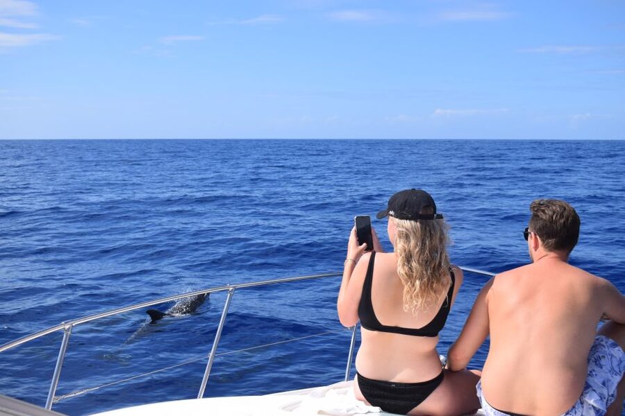 Madeira: 2.5-Hour Whale and Dolphin-Watching Cruise - On board comfort: shade, restrooms, blankets, and real hospitality