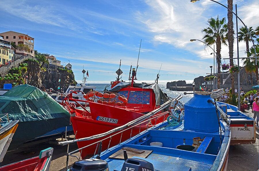 Madeira 2 Full-Day & 1 Half-Day 4x4 jipe Special Tour Combo - West Madeira full day: Ribeira Brava, Paúl da Serra, Fanal, and Porto Moniz pools